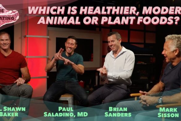 Are Modern Plant Foods Healthy?