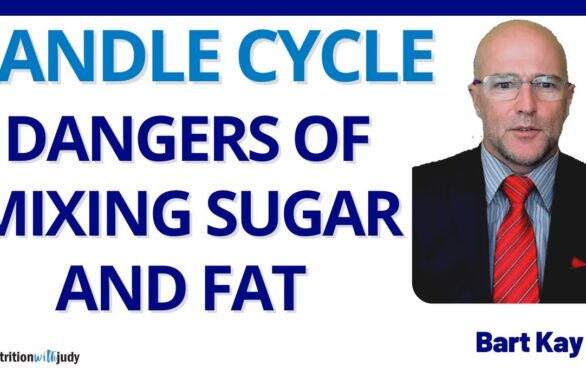 dangers of mixing carbs and fat – randle cycle discussion